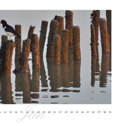 ErsterKüstenkalender