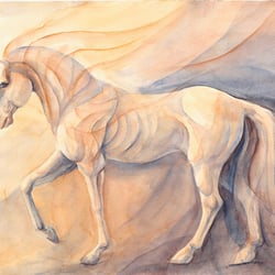 pferd