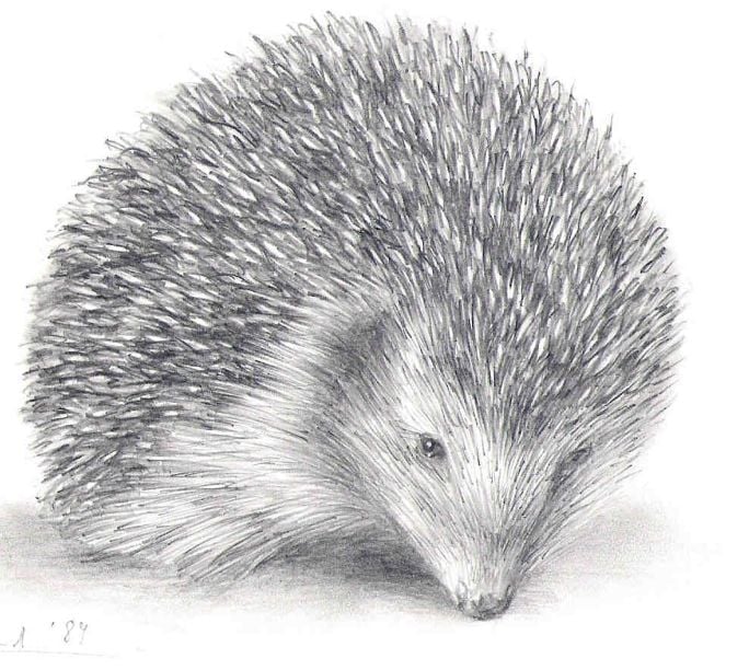 Igel