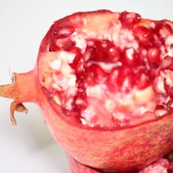 Granatapfel November 2012