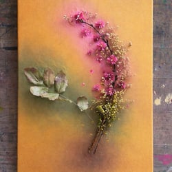 Acryl