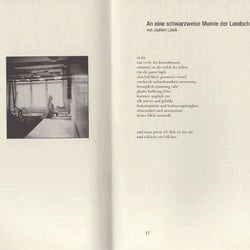 Comma Innen
