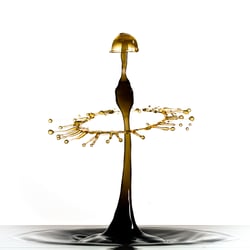 Spezialthema Wasser @ Foto Brennerei