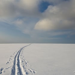Skispur im Schnee
