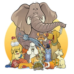 Tiere