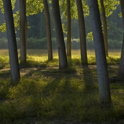 Das Licht einfangen