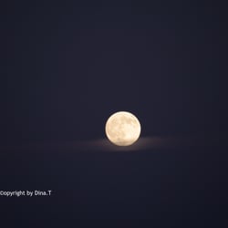 Moon / Jun. 2014 © by Dina.T