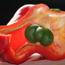 Paprika 06