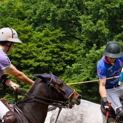polo bs kl