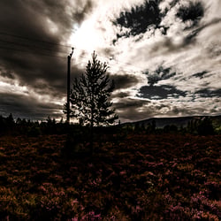 scotland / travel photography