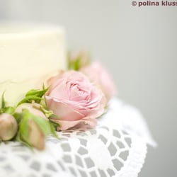hochzeitsfotografie köln und umgebung