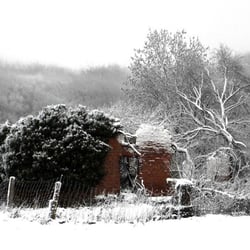 Ruine 2 log