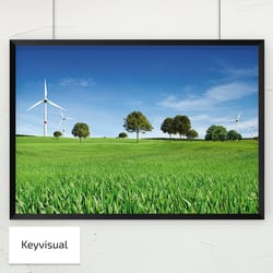 Corporate Design ,Die Freunde von Prokon e.V.’