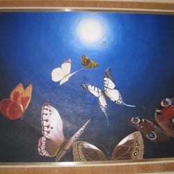 Licht