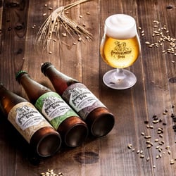 Friedensreiter Bräu