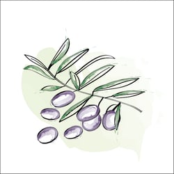 081216 kochbuch illustration 13