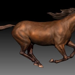 Digital Sculpting