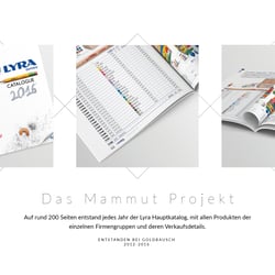 Grafiant Portfolio Internet 2019 RZ13