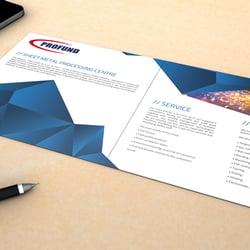 Profund flyer2