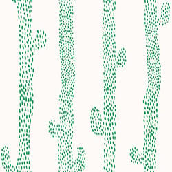 Cactus wild
