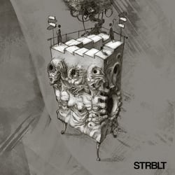 Strobolyth Cover artwork