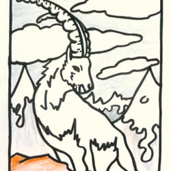 steinbock