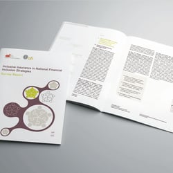 Survey Report der afi und A2ii, GIZ