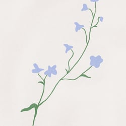 botanical1