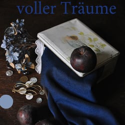 Buchcovergestaltung +  Fotografie (Entwurf für Suhrkamp)