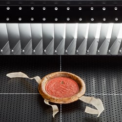 Buch- & Dokumentenscanner