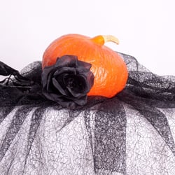 Kürbis mit schwarzer Rose