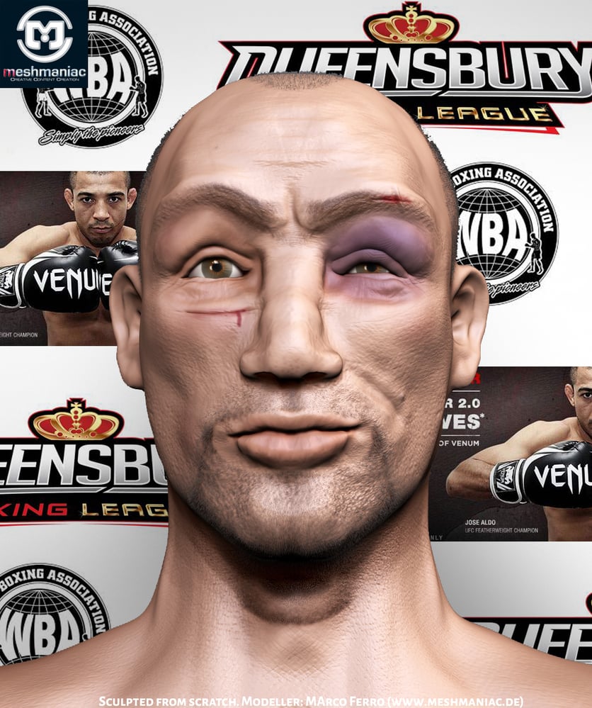 Boxer detail logo