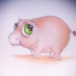 hippo