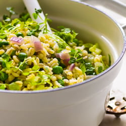 Weizen-Zwiebel-Topf mit Kochsalat und Erbsen