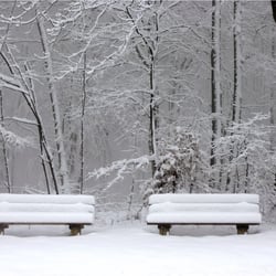 Winter am Jägerhaus 2472k