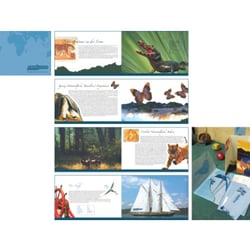 eaudyssee – Dschungelreisen auf dem Wasser. Logo, Corporate Design, Image-Broschüre, Flyer und Reiseunterlagen.