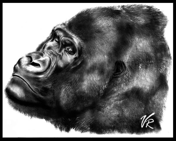 boceto01vr