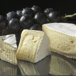 Käse