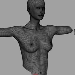 Sharin Body