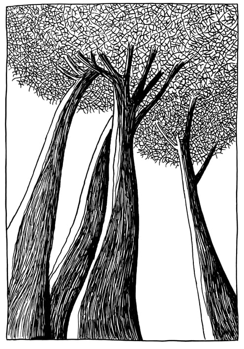 trees