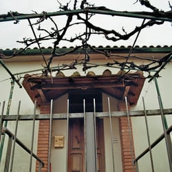 CASTLE – 35mm ANALOG SHOT