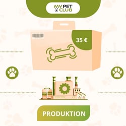 Erklärvideo My Pet Club