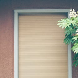WINDOW – 35mm ANALOG SHOT