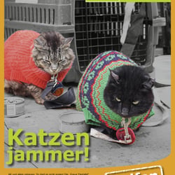 Katzenjammer 2