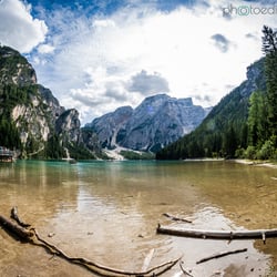 Photo and Editing by Isabella Hepp