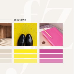 Farbpalette Business Coach