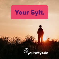 yourways Rebranding & Marketing-Kampagne