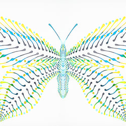 BUTTERFLY V1 / http://www.farbtunnel.de/dotting-art/