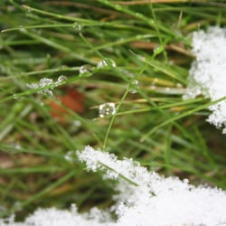 Eiskristalle