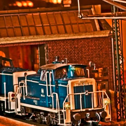Makro Aufnahmen 2009